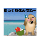 ダックス君（個別スタンプ：12）