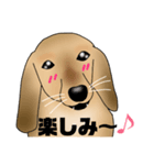 ダックス君（個別スタンプ：26）