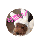 たろ＆ポンズ＆パールの激カワスタンプ♥（個別スタンプ：1）