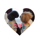 たろ＆ポンズ＆パールの激カワスタンプ♥（個別スタンプ：3）