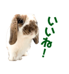 毎日たーたん2（個別スタンプ：6）
