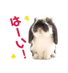 毎日たーたん2（個別スタンプ：15）