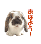 毎日たーたん2（個別スタンプ：17）