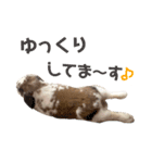 毎日たーたん2（個別スタンプ：19）