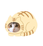 べるたんฅ^._.^ ฅスタンプ（個別スタンプ：7）