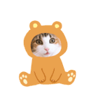 べるたんฅ^._.^ ฅスタンプ（個別スタンプ：16）