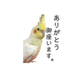 「オカメインコ」の日常♫＂鳥の感情ver.2＂（個別スタンプ：2）