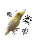 「オカメインコ」の日常♫＂鳥の感情ver.2＂（個別スタンプ：12）