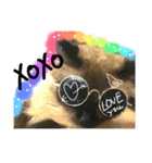 レインボー 猫（個別スタンプ：4）