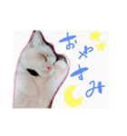 のびのびRURUちゃん（個別スタンプ：4）