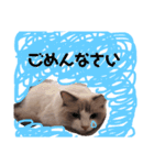 のびのびRURUちゃん（個別スタンプ：8）