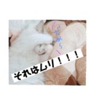 のびのびRURUちゃん（個別スタンプ：11）