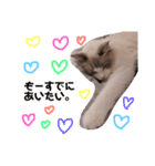 のびのびRURUちゃん（個別スタンプ：12）