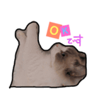 のびのびRURUちゃん（個別スタンプ：15）