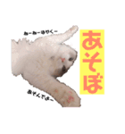 のびのびRURUちゃん（個別スタンプ：16）