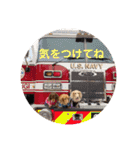 ミニチュアダックス3兄弟コジムサヤマトん（個別スタンプ：9）