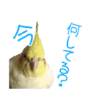 使える！日常スタンプ(ゆかいな仲間たち2)（個別スタンプ：1）