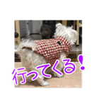 使える！日常スタンプ(ゆかいな仲間たち2)（個別スタンプ：5）