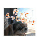 使える！日常スタンプ(ゆかいな仲間たち2)（個別スタンプ：6）
