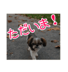 使える！日常スタンプ(ゆかいな仲間たち2)（個別スタンプ：7）