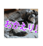 使える！日常スタンプ(ゆかいな仲間たち2)（個別スタンプ：8）