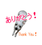 使える！日常スタンプ(ゆかいな仲間たち2)（個別スタンプ：10）