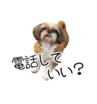 使える！日常スタンプ(ゆかいな仲間たち2)（個別スタンプ：11）