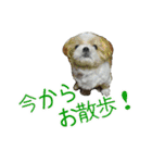 使える！日常スタンプ(ゆかいな仲間たち2)（個別スタンプ：13）