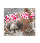 使える！日常スタンプ(ゆかいな仲間たち2)（個別スタンプ：25）