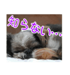 使える！日常スタンプ(ゆかいな仲間たち2)（個別スタンプ：27）