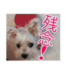 使える！日常スタンプ(ゆかいな仲間たち2)（個別スタンプ：28）