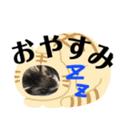 フェレット☆STAMP（個別スタンプ：22）