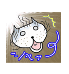 ぶちゃねこぶーみゃんの日常使いスタンプ（個別スタンプ：6）