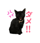 我が家の家族〜第1弾〜（個別スタンプ：2）