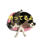 我が家の家族〜第1弾〜（個別スタンプ：4）