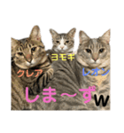 我が家の家族〜第1弾〜（個別スタンプ：12）