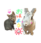音と愉快な仲間たち（個別スタンプ：8）