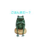 カエルサン（個別スタンプ：5）