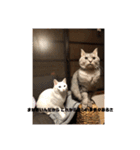ネコワーキング（個別スタンプ：10）