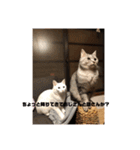 ネコワーキング（個別スタンプ：11）