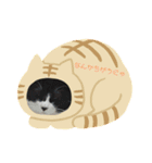 りんちゃん①（個別スタンプ：1）