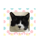 りんちゃん①（個別スタンプ：3）