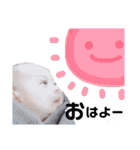 あおいたんといっしょ（個別スタンプ：1）