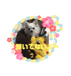 どうぶつしゅーごー（個別スタンプ：8）