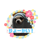 どうぶつしゅーごー（個別スタンプ：11）