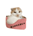 毎日タラちゃん（個別スタンプ：7）