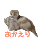 毎日タラちゃん（個別スタンプ：10）