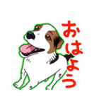 愛犬【陸】＆【りゅう】のスタンプ（個別スタンプ：1）