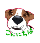 愛犬【陸】＆【りゅう】のスタンプ（個別スタンプ：2）