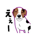 愛犬【陸】＆【りゅう】のスタンプ（個別スタンプ：8）
